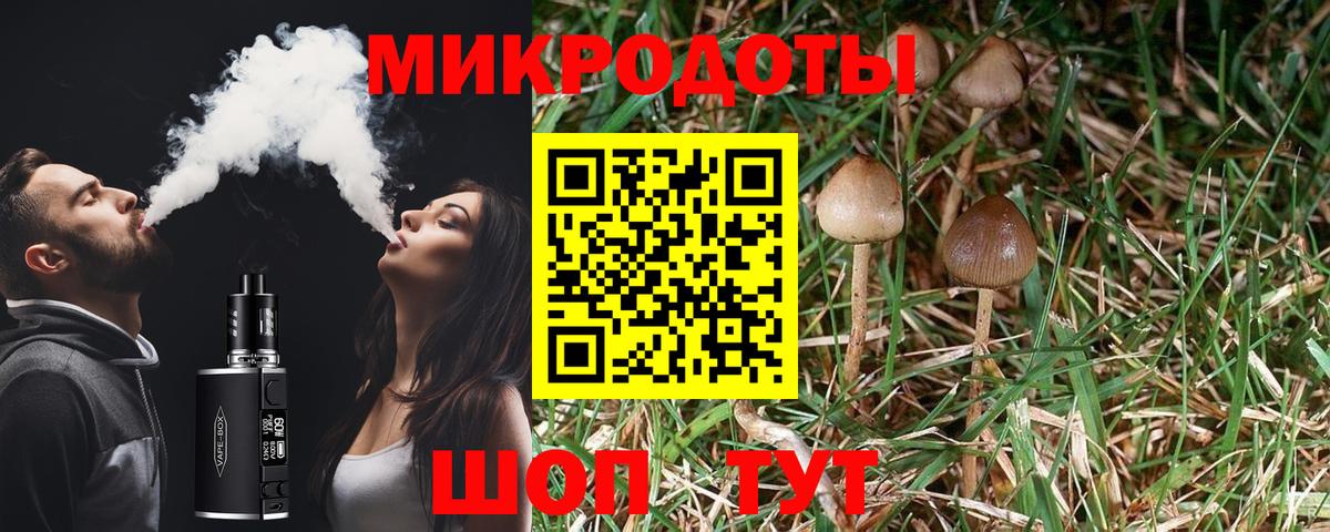 Галлюциногенные грибы GOLDEN TEACHER Тольятти