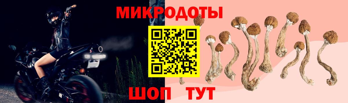Тольятти  Галлюциногенные грибы Cubensis  Вход с VPN 